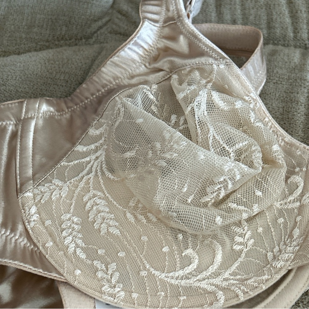 Vintage Vanity Fair Sheer Botantical Full Figure Underwire Bra Size 38DD - Picture 4 of 10